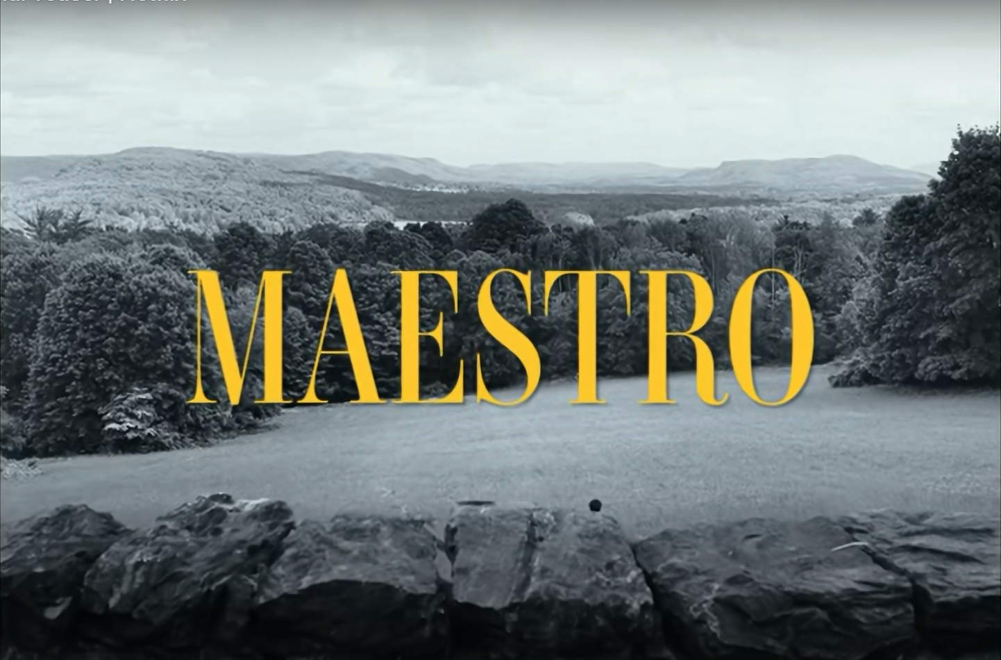 You are currently viewing Maestro – Trailer