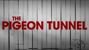 Read more about the article The Pigeon Tunnel